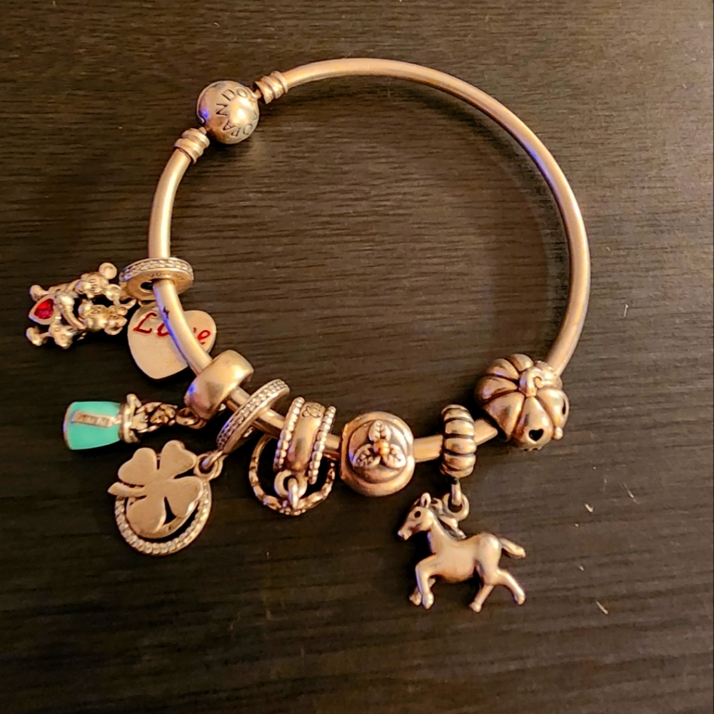 Pandora bracelet with charms
